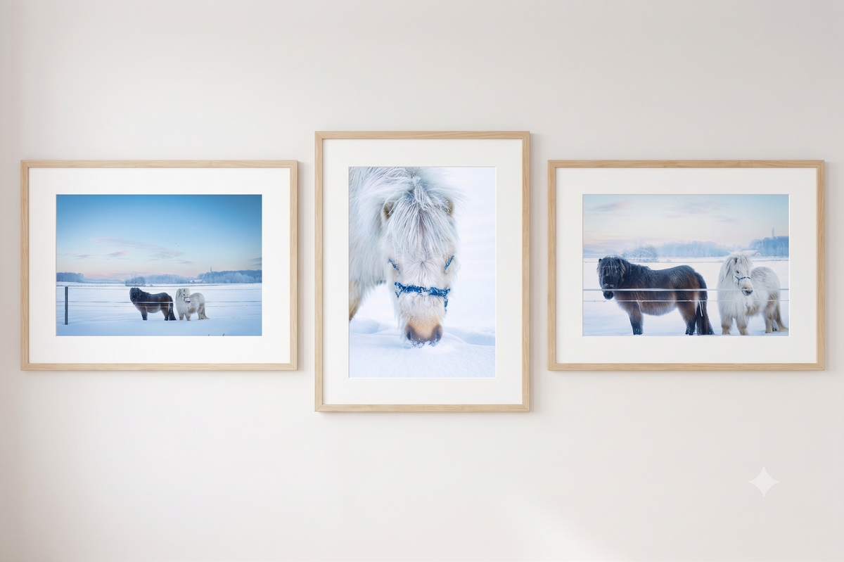 Sneeuwpony's