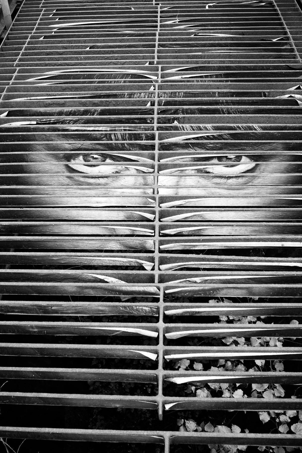 It's in the eyes, chico