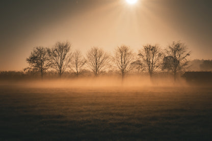 Een ochtend op het platteland