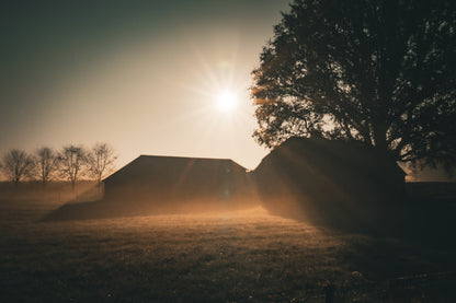 Een ochtend op het platteland