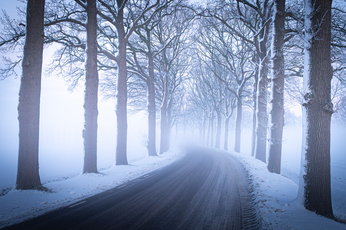 Een weg door de winter