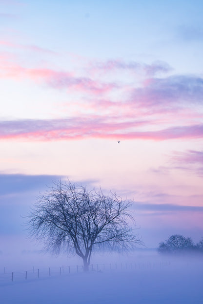 Winters ochtendlicht