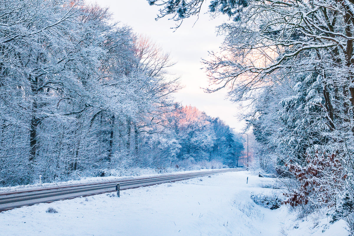 Een weg door de winter