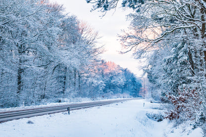 Een weg door de winter