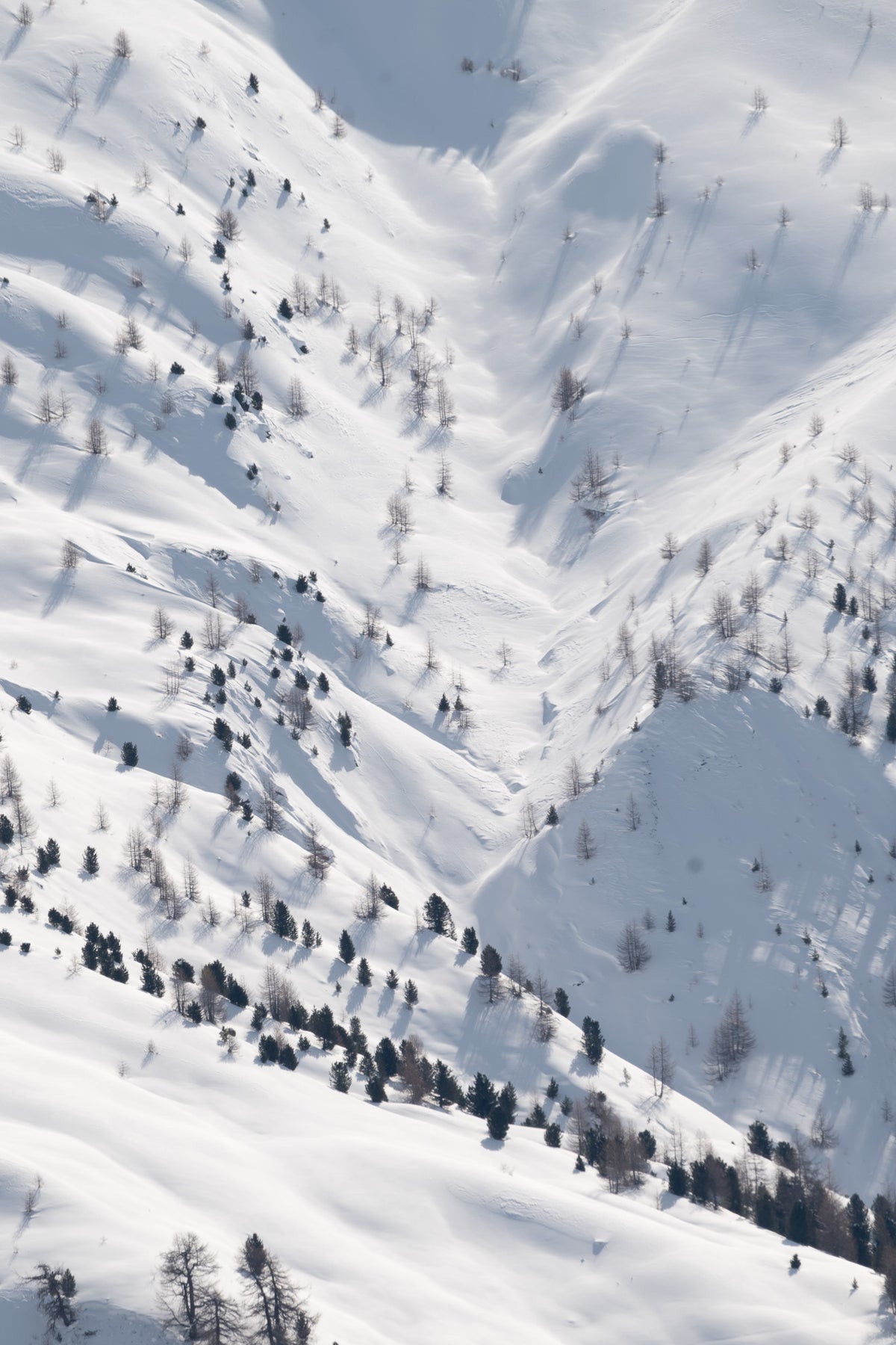 Besneeuwde bergwereld