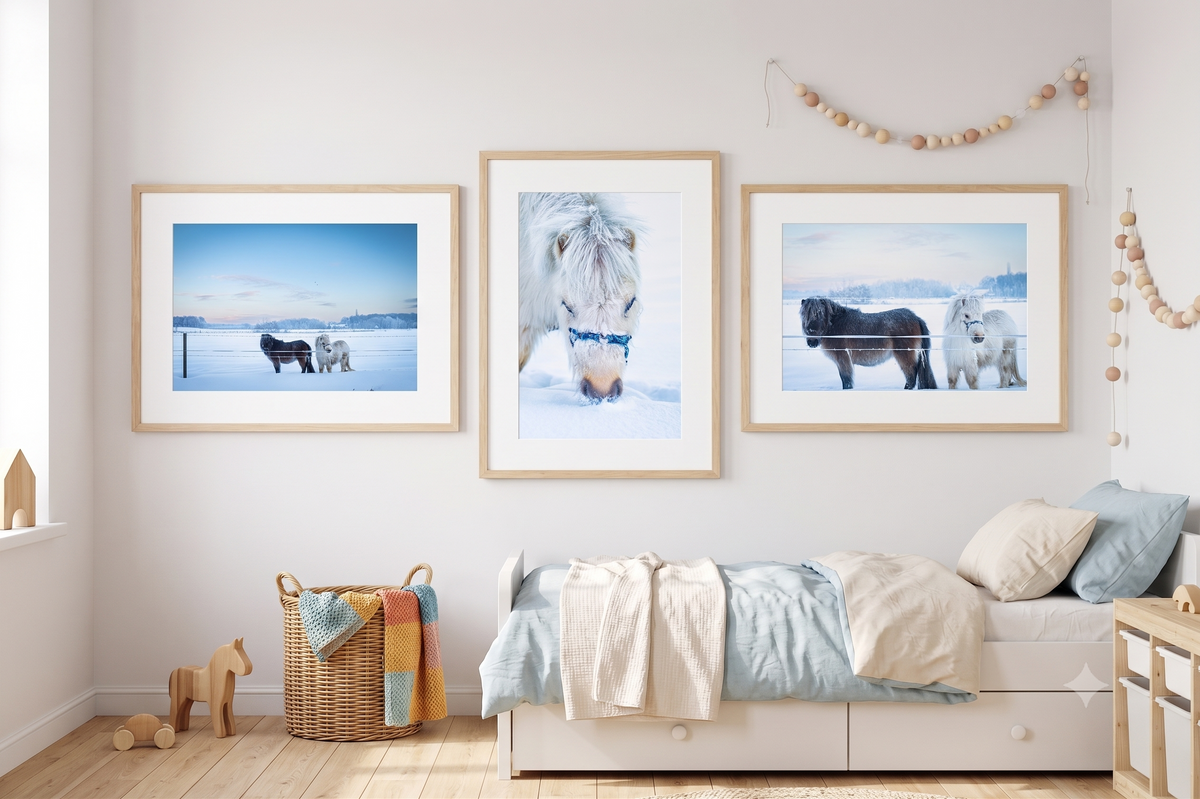Sneeuwpony's