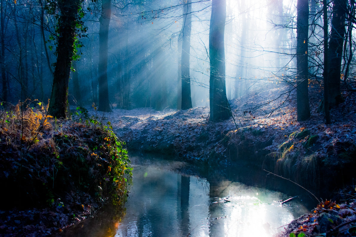 Blauwe winterochtend