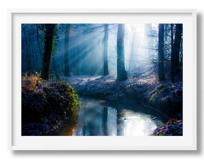 Blauwe winterochtend