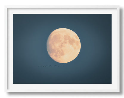 The moon is mine