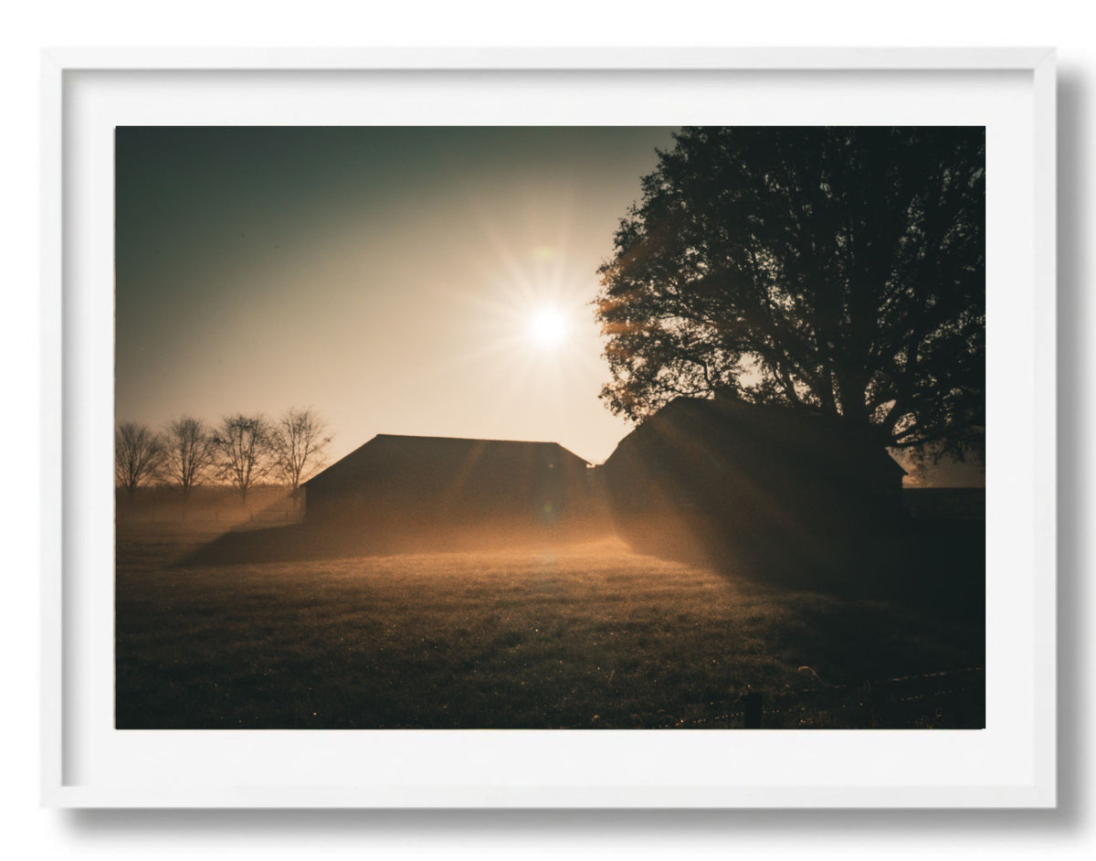 Een ochtend op het platteland