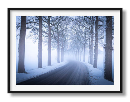 Een weg door de winter