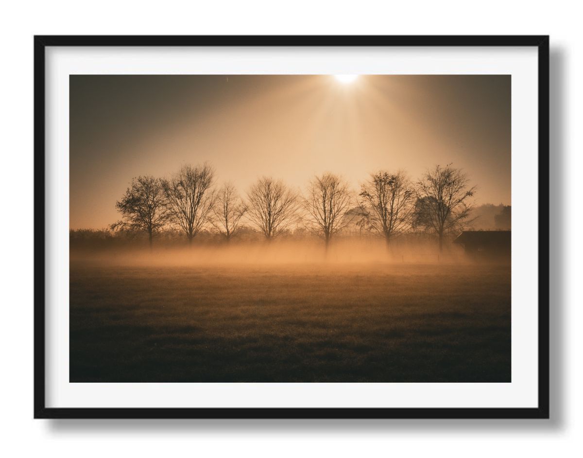 Een ochtend op het platteland
