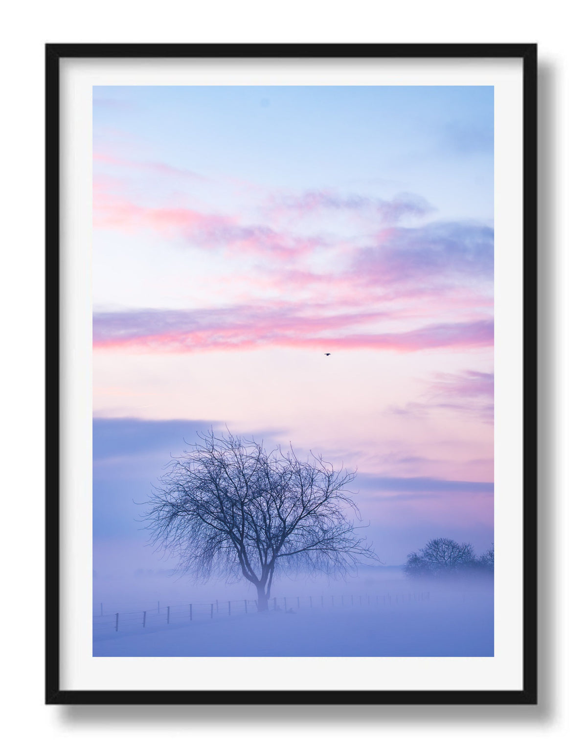 Winters ochtendlicht