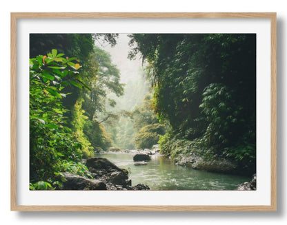 Jungle vibes