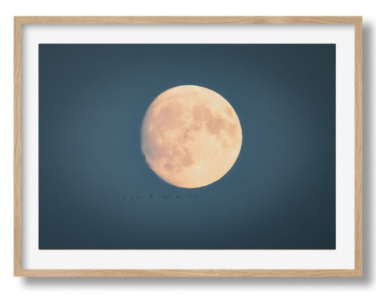The moon is mine