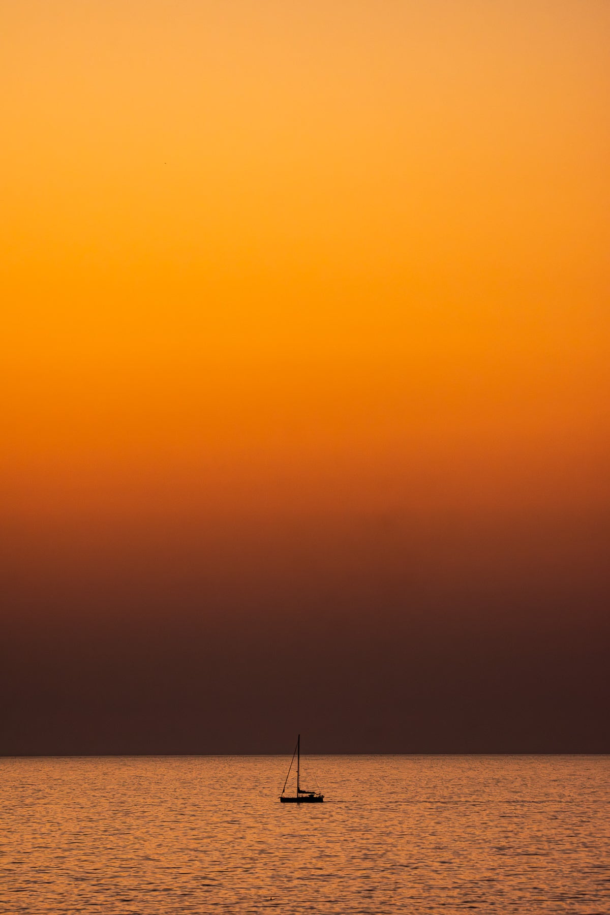 Sail away