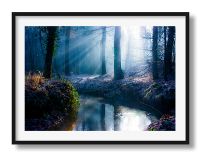 Blauwe winterochtend